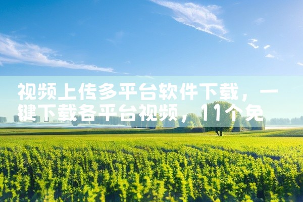 视频上传多平台软件下载
