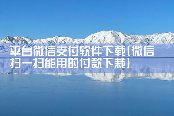 平台微信支付软件下载