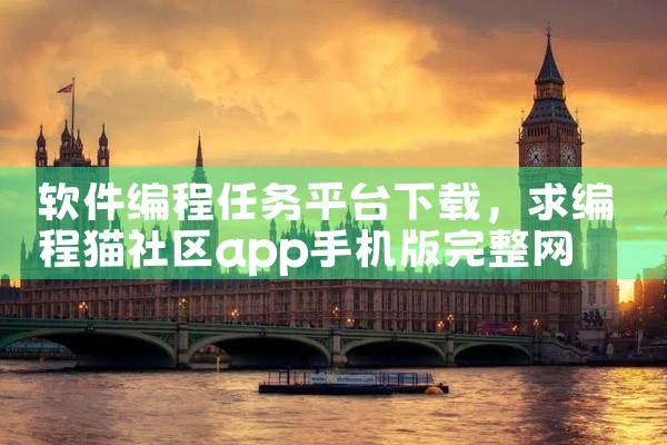 软件编程任务平台下载