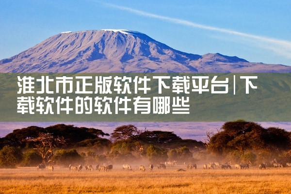 淮北市正版软件下载平台