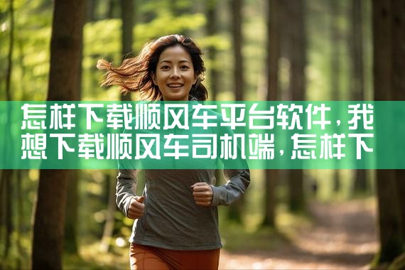 怎样下载顺风车平台软件