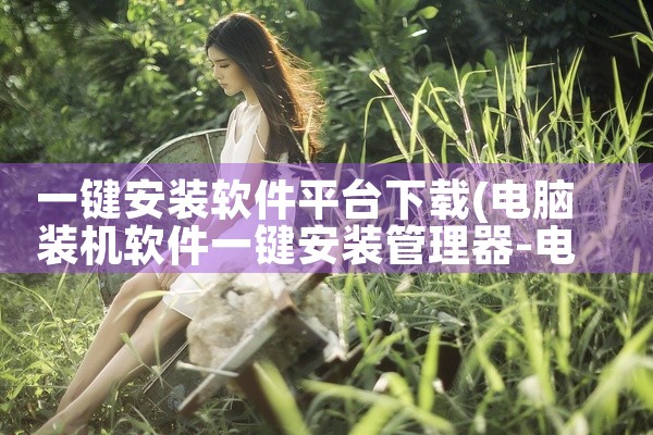一键安装软件平台下载