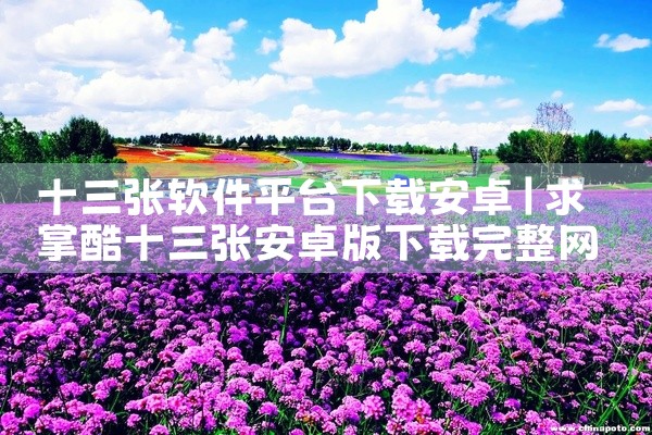 十三张软件平台下载安卓
