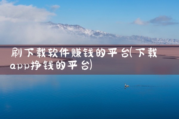 刷下载软件赚钱的平台