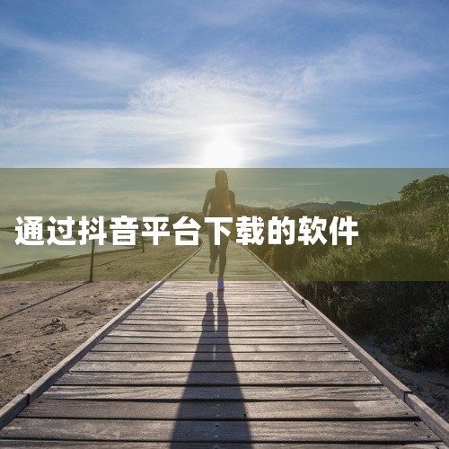 In-Sight Explorer软件的安装需依次完成下载、安装、仿真器注册（如需）和脱机编程授权（如需）四个步骤。具体操作如下：1. 下载软件用户可通过两种方式获取安装包：官方渠道：访问康耐视官方支,