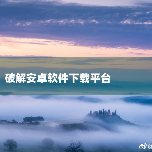 网络上存在一些专门提供破解版软件下载的网站，这些网站通常会吸引那些希望免费使用正版软件的用户。其中，当易软件站、满满下载、酷吧屋软件网、雪夜流星在线软件下载、中华软件联盟和石狮软件园等网站，都是这类服|