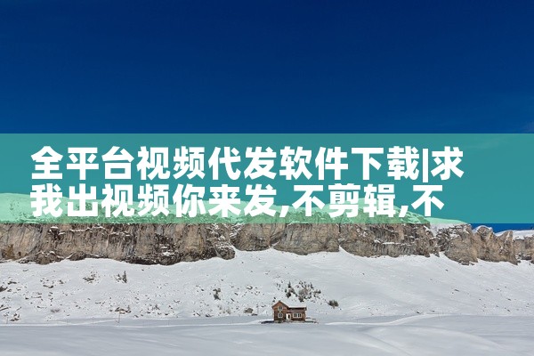 全平台视频代发软件下载