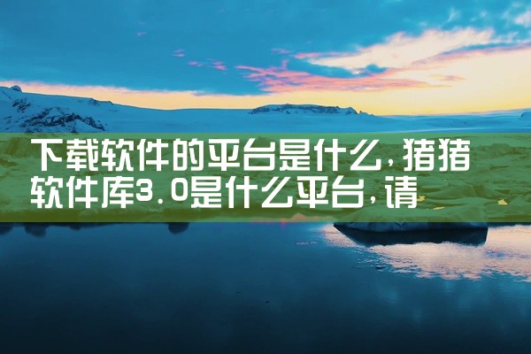 下载软件的平台是什么