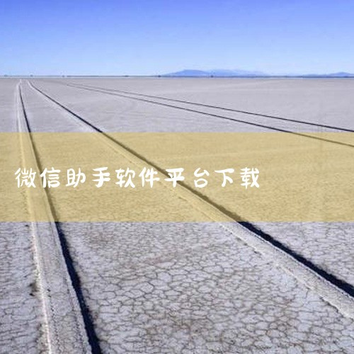 《微信助手》是一款辅助管理微信账号的工具软件,旨在提升用户的使用效率与管理便捷性。具备消息批量发送、好友分组管理、聊天记录备份导出等实用功能。界面设计直观易懂,各项功能入口明确,新手也能快速上手。支持,