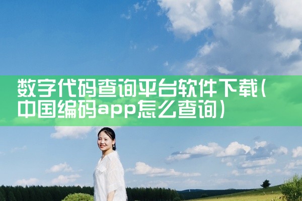 数字代码查询平台软件下载