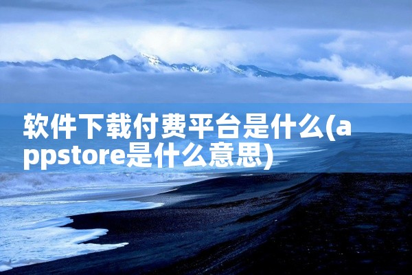 软件下载付费平台是什么