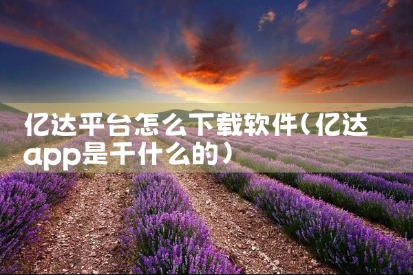 亿达平台怎么下载软件